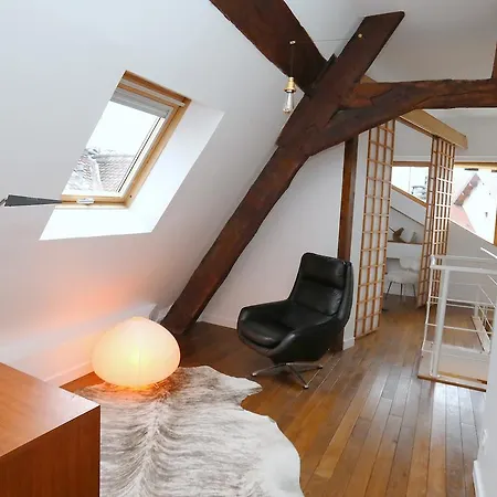 Le Duplex Du Peintre * Annecy