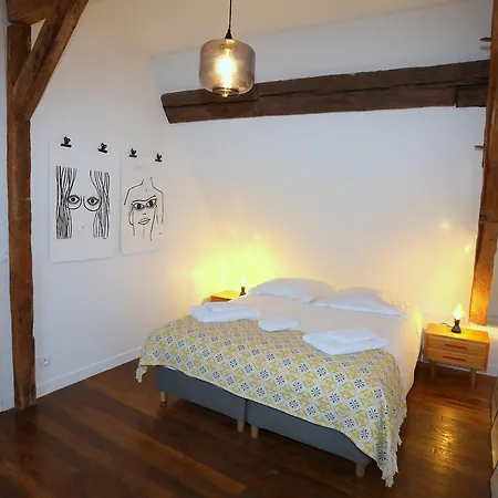 Le Duplex Du Peintre Apartman Annecy