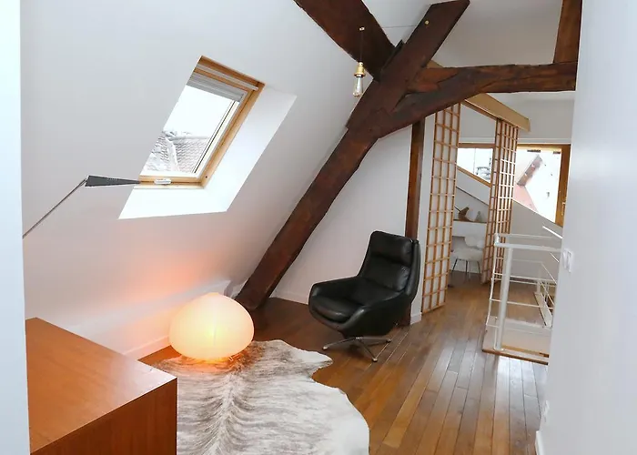 Le Duplex Du Peintre * Annecy