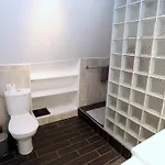 Le Duplex Du Peintre 公寓 阿讷西