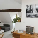 Le Duplex Du Peintre 公寓 阿讷西