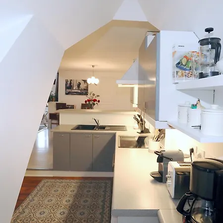 公寓 Le Duplex Du Peintre *